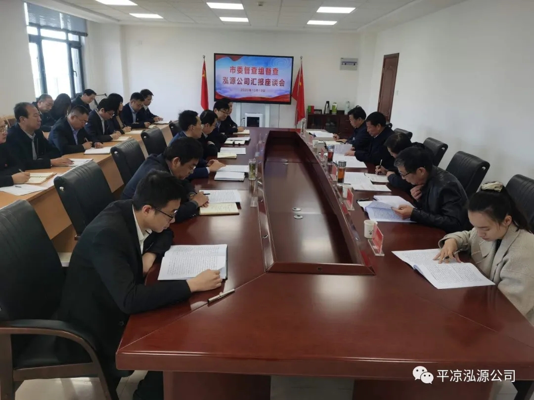 市委辦公室、市政府國資委督查泓源公司工作(圖4)
